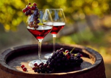 Питат с анкета асеновградчани дали правят домашно вино