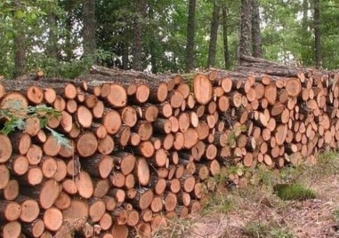 Важна информация хората в Калояново, желаещи да купят дърва за огрев