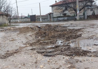 Тъжна, грозна и нелепа картинка в асеновградското село Патриарх Евтимово