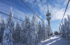spasiha-16-godishen-skior-plovdiv-420.jpg
