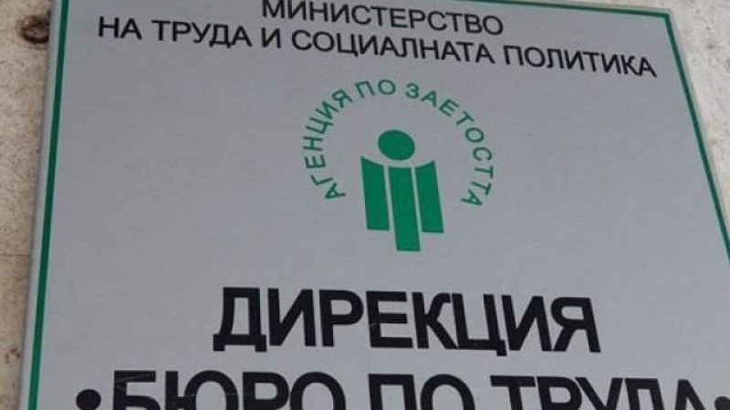Бюро “Родопи“ търси десетки работници, местата за висшисти са оскъдни