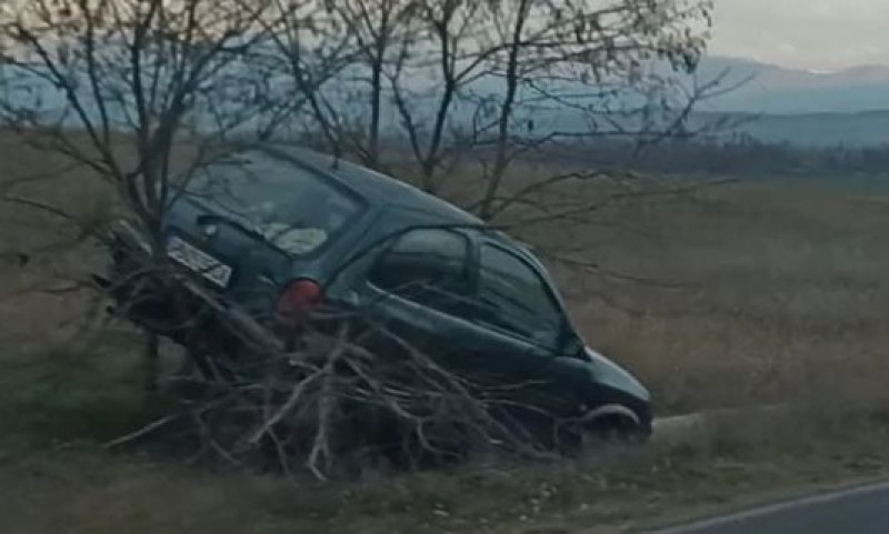 Кола „кацна“ на дърво след катастрофа на пътя Пловдив – Карлово