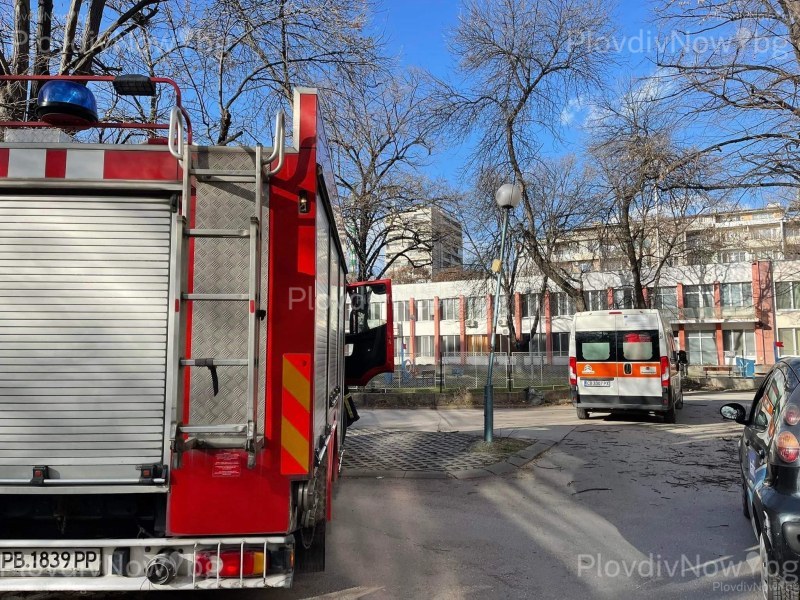 Остава неподвижно детето, върху което падна дърво в Пловдив