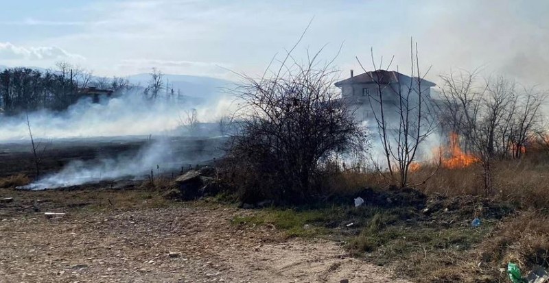 Палежи в Пловдив притесниха хората тези дни