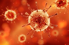 10-novi-sluchaia-koronavirus-plovdiv-402.jpg