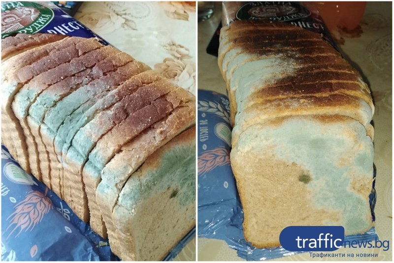 Стартира проверка след продажбата на развален хляб в Т-маркет в Гагарин