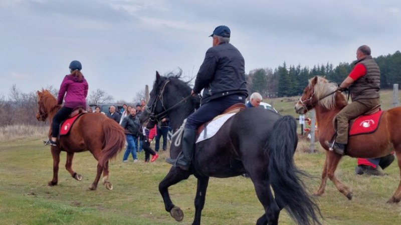 Кобилата Пепа е най-бързият кон в Асеновградско