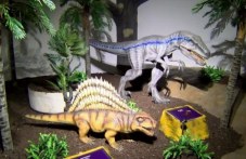 obnovenata-zala-dinozavri-249.jpg