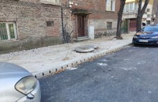 kat-ne-pozvoliha-da-se-prehvarli-982.jpg
