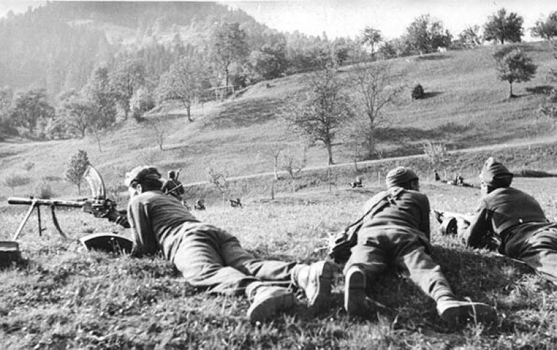 На този ден: Завършва Дравската операция на българската армия