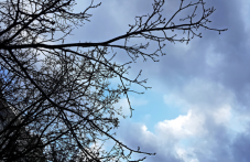 oblatsi-slantse-i-priiatni-temperaturi-894.png