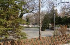 tiineidzhari-zadignaha-telefoni-park-778.jpg