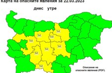 obiaviha-zhalt-kod-valezhi-plovdivsko-144.jpg