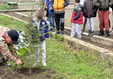 Община Брезово подари дръвчета на училища и детски градини