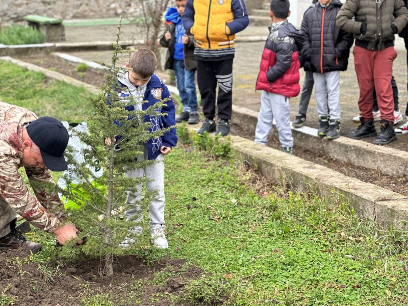 Община Брезово подари дръвчета на училища и детски градини