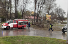 otseniavat-shtetite-plovdiv-polucheni-086.png