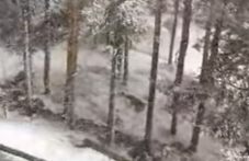 pamporovo-pobelia-silniia-snegovalezh-541.png