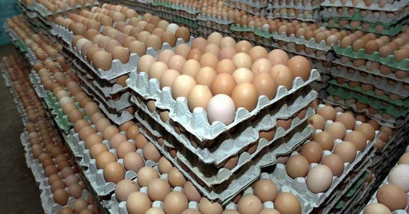 Инспектори по храните правят засилени проверки преди Великден