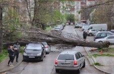 ziko-ochakvame-novi-porivi-viatara-nad-168.jpg