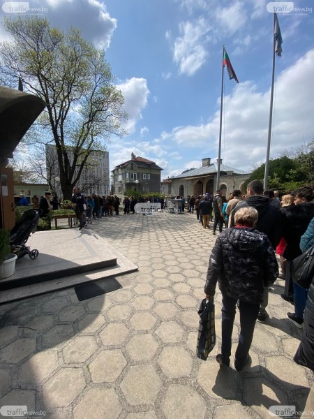 Пловдивчани се стекоха за върбови клонки на Цветница