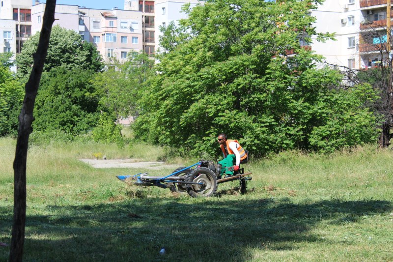 200 служители ще косят тревите в Пловдив навръх Разпети петък