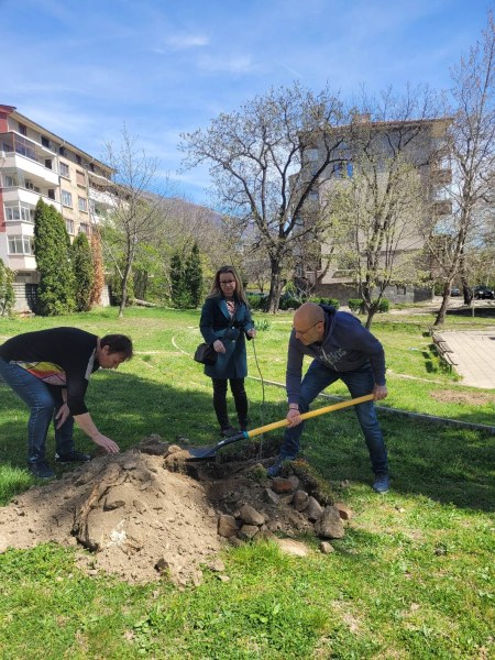 100 нови фиданки засадиха в парковете в Карлово