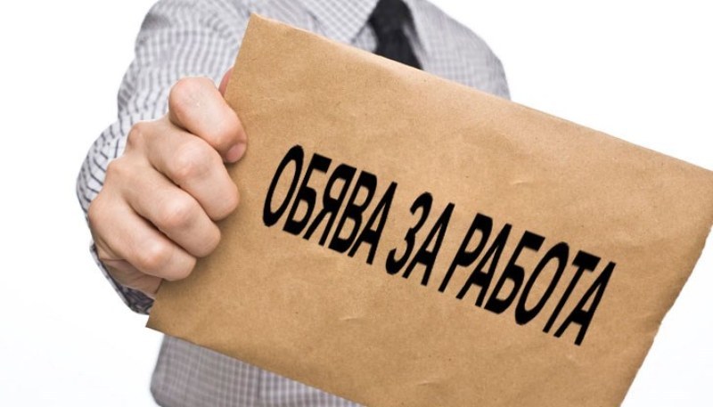 Ръст на обявите за работа за месец, в кои сфери се търсят най-много хора