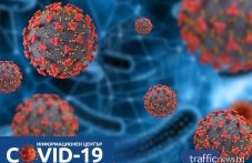2-novi-sluchaia-koronavirus-plovdivsko-050.jpg