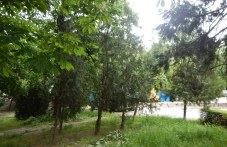 naprezhenie-plovdiv-zaradi-darvetata-518.jpg