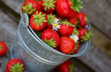 Фестивал на ягодата ще има в Кричим
