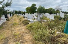 Пловдивчанин: Централните гробища са скрити в буйна растителност