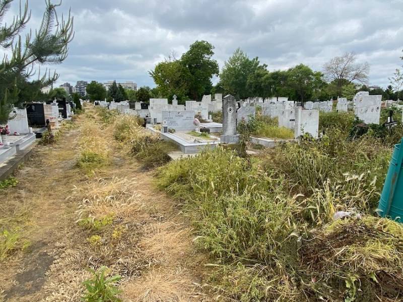 Пловдивчанин: Централните гробища са скрити в буйна растителност
