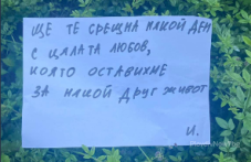 trogatelno-i-raztarsvashto-lyubovno-347.png