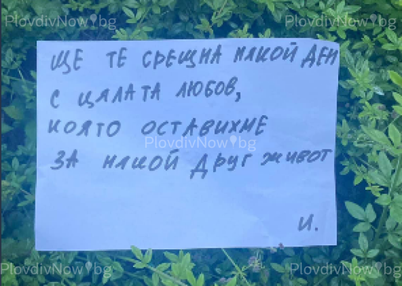 Трогателно и разтърсващо любовно послание се появи в Пловдив