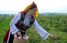 otkriha-rozobera-karlovo-belgiitsi-se-045.jpg