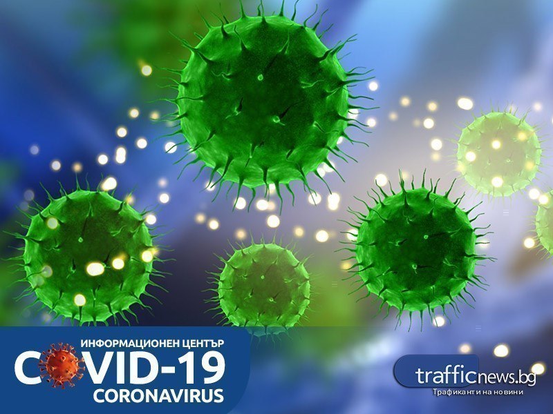 COVID в цифри: 7 нови случая в Пловдив COVID в цифри: 7 нови случая в Пловдив