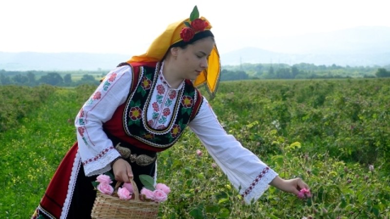 Откриха розобера в Карлово, белгийци се хванаха на хорото
