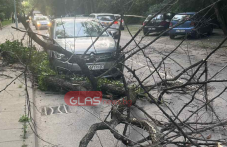 Дърво се стовари върху кола в Пловдив
