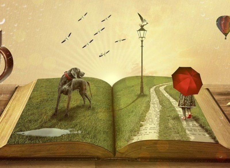 Момиченце във втори клас прочете 552 книги за година