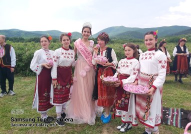 Чужденци браха рози в градините край Войнягово, посрещнаха ги кукери