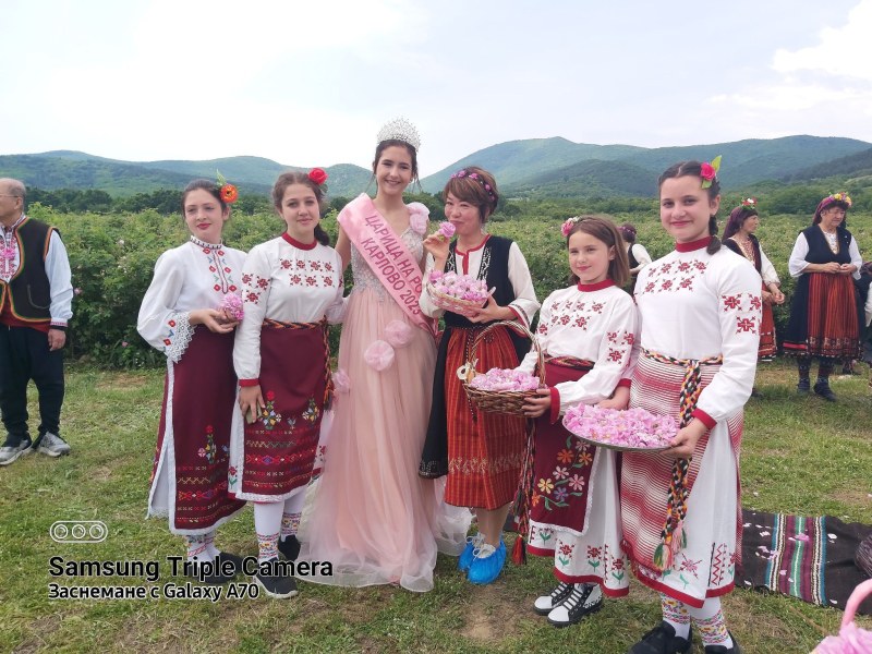 Чужденци браха рози в градините край Войнягово, посрещнаха ги кукери