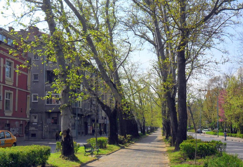 Затварят два основни булеварда в Пловдив след 1 юли