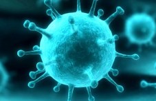 7-novi-polozhitelni-probikoronavirus-980.jpg