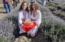 praznikat-lavandulata-shte-se-sluchi-297.jpg