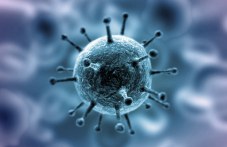 2-novi-polozhitelni-probi-koronavirus-022.jpg