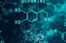 dopaminat-e-hormonat-pristrastiavaneto-970.jpg