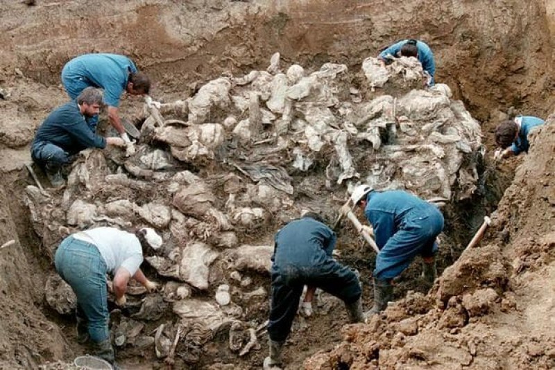 В дните около 11 юли 1995 - избити са над 8000 босненски възрастни и деца