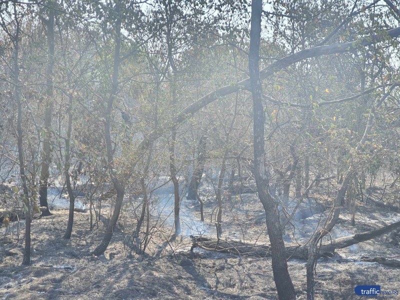 Пожарът край Гребната база е овладян, но гората продължава да тлее