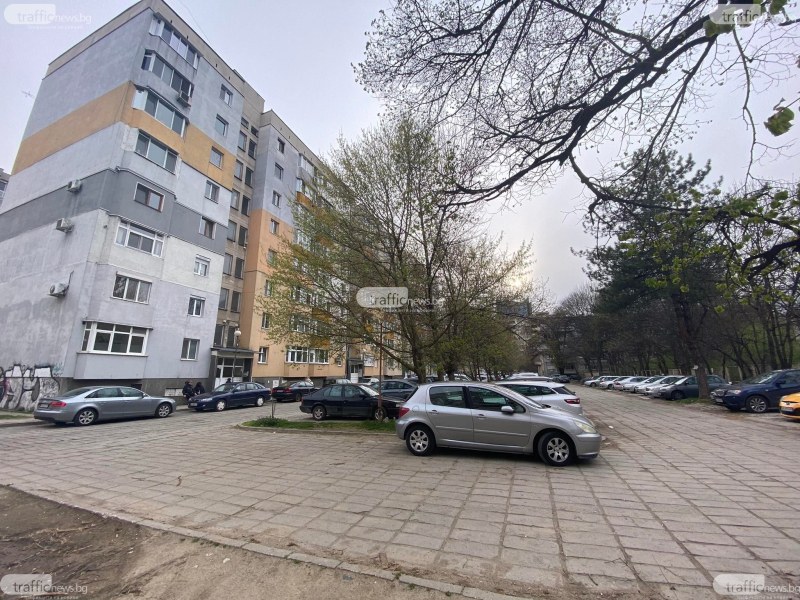 Цял вход в Пловдив пропищя от професионален домоуправител, отказвал да си тръгне