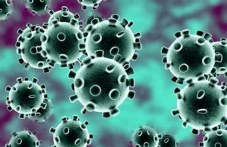 chetiri-novi-sluchaia-koronavirus-787.jpg